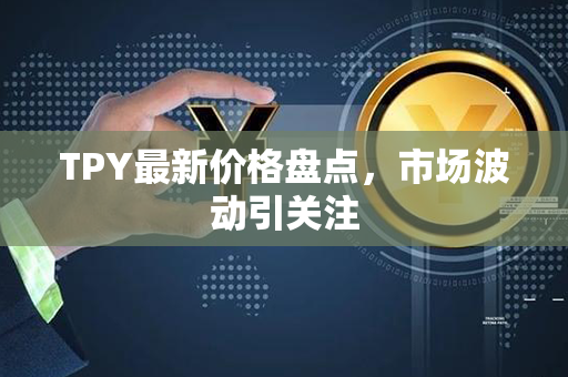 TPY最新价格盘点，市场波动引关注