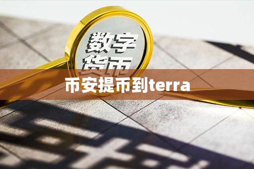 币安提币到terra