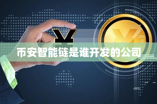 币安智能链是谁开发的公司