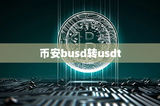 币安busd转usdt