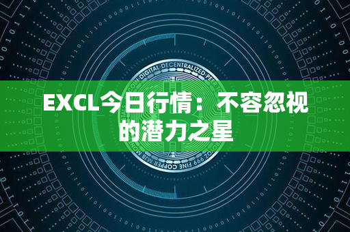 EXCL今日行情：不容忽视的潜力之星