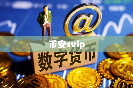 币安svip