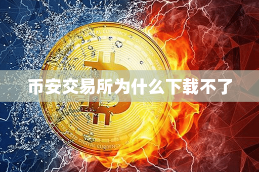 币安交易所为什么下载不了