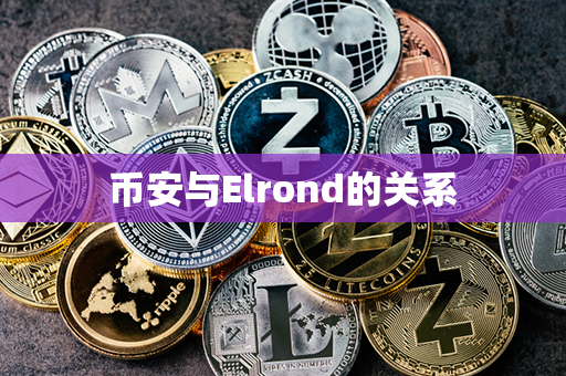 币安与Elrond的关系