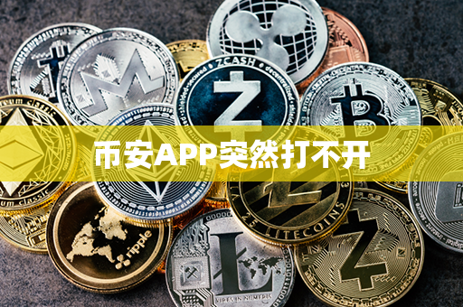 币安APP突然打不开