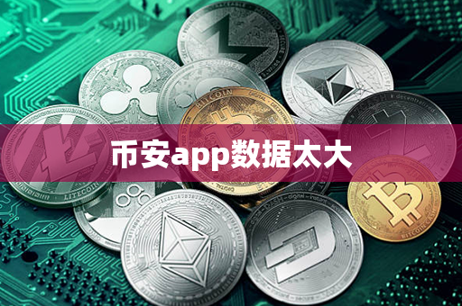 币安app数据太大