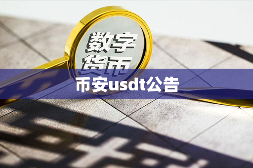 币安usdt公告