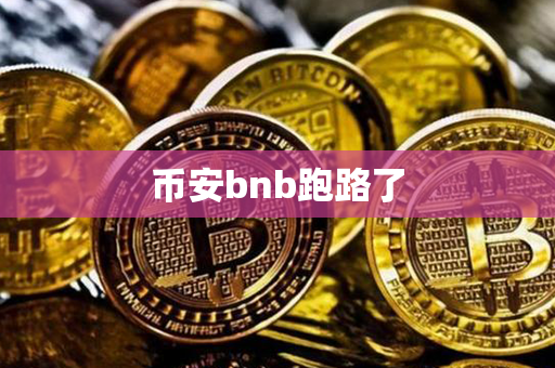 币安bnb跑路了