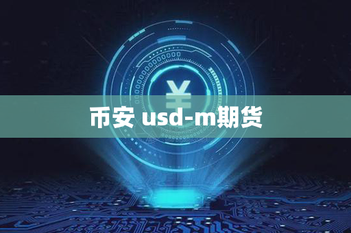 币安 usd-m期货