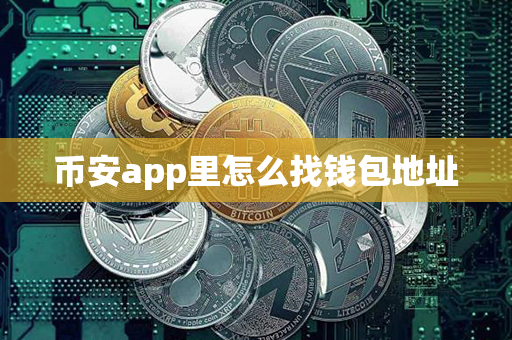 币安app里怎么找钱包地址