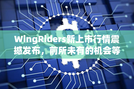 WingRiders新上市行情震撼发布，前所未有的机会等你来把握！