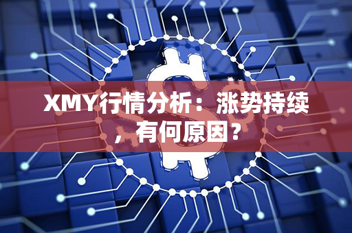 XMY行情分析：涨势持续，有何原因？