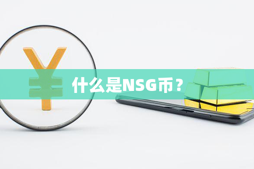 什么是NSG币？