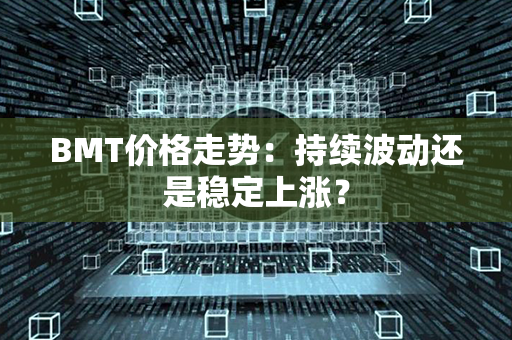 BMT价格走势：持续波动还是稳定上涨？