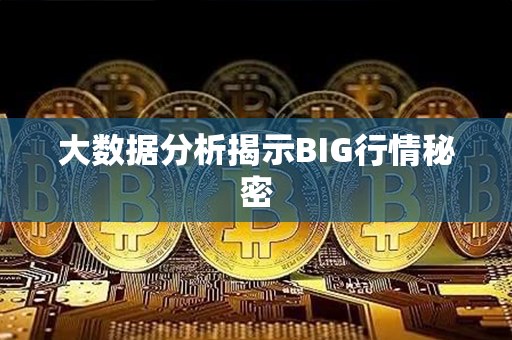 大数据分析揭示BIG行情秘密