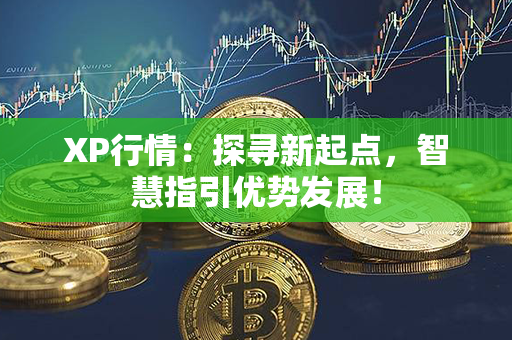 XP行情：探寻新起点，智慧指引优势发展！