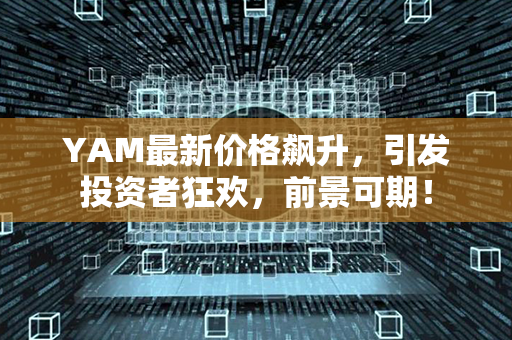 YAM最新价格飙升，引发投资者狂欢，前景可期！