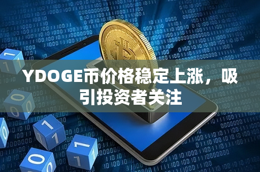 YDOGE币价格稳定上涨，吸引投资者关注