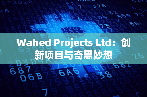 Wahed Projects Ltd：创新项目与奇思妙想