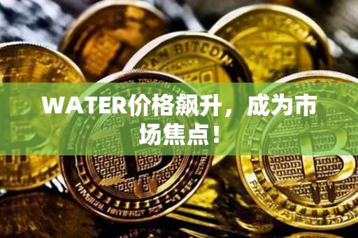 WATER价格飙升，成为市场焦点！