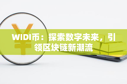 WIDI币：探索数字未来，引领区块链新潮流