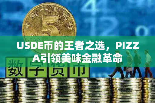 USDE币的王者之选，PIZZA引领美味金融革命