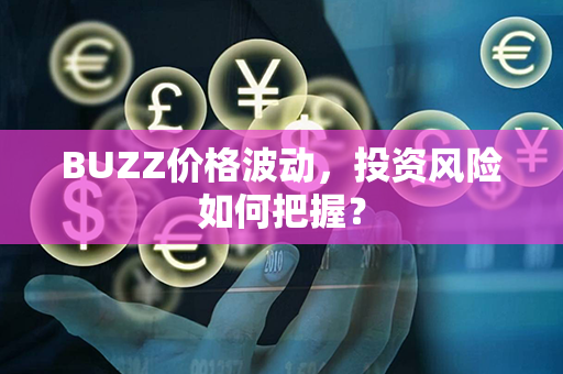 BUZZ价格波动，投资风险如何把握？