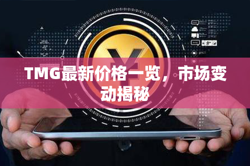 TMG最新价格一览，市场变动揭秘