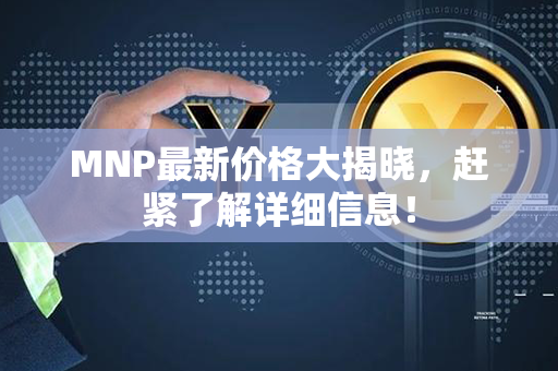 MNP最新价格大揭晓，赶紧了解详细信息！