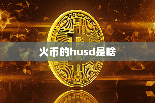 火币的husd是啥