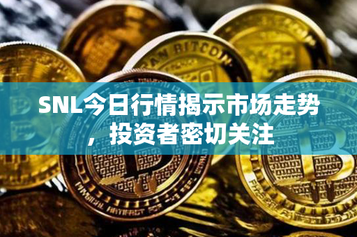 SNL今日行情揭示市场走势，投资者密切关注