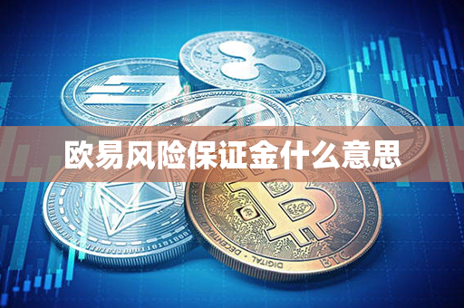 欧易风险保证金什么意思