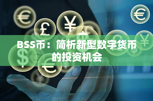 BSS币：简析新型数字货币的投资机会