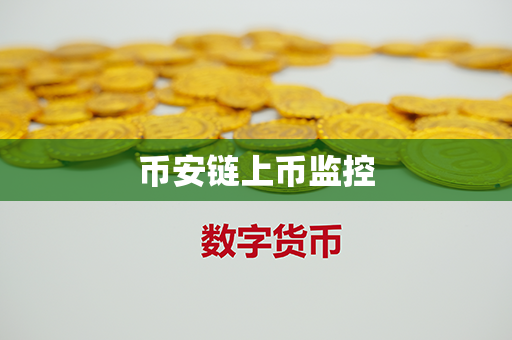 币安链上币监控