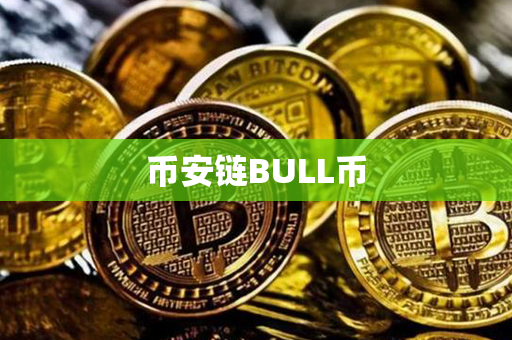 币安链BULL币