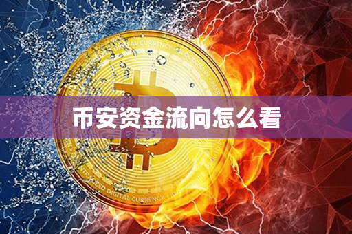 币安资金流向怎么看