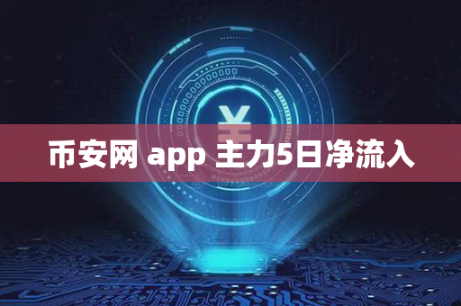 币安网 app 主力5日净流入