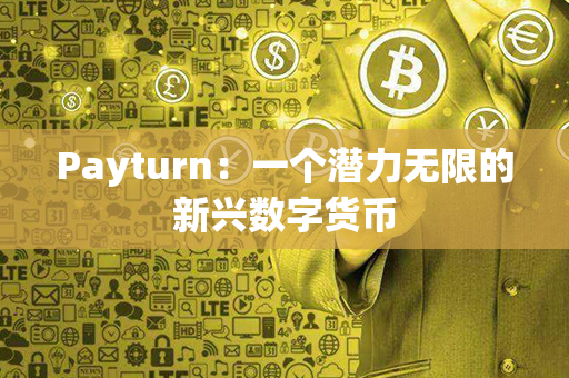 Payturn：一个潜力无限的新兴数字货币